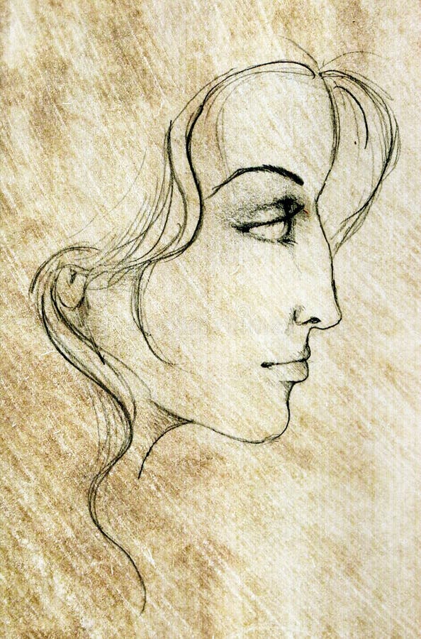 Face of Woman Sketch Drawing Stock Illustration - Illustration of
