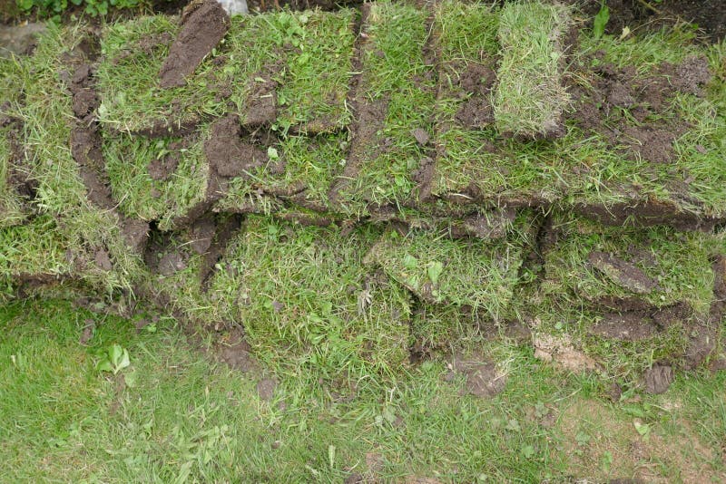 Facendo il giardinaggio, pezzi dell'erba, trapianto delle zolle dell'erba immagine stock libera da diritti Facendo il giardinaggio, pezzi dell'erba, trapianto delle zolle dell'erba immagine stock libera da diritti