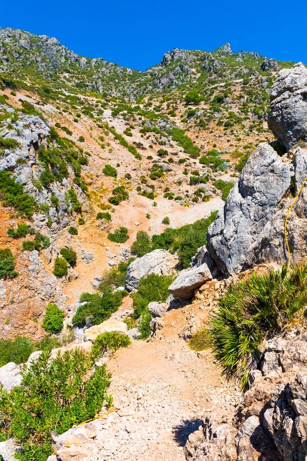 Facendo un'escursione in Rif Mountains del Marocco sotto la città di Chefchaouen, il Marocco, Africa fotografia stock Facendo un'escursione in Rif Mountains del Marocco sotto la città di Chefchaouen, il Marocco, Africa fotografia stock