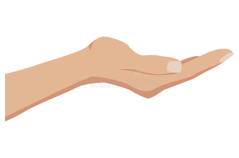 Hand Open Palm Facing Up Stock Illustrations 8 Hand Open Palm Facing Up Stock Illustrations Vectors Clipart Dreamstime Hand Open Palm Facing Up Stock Illustrations 8 Hand Open Palm Facing Up Stock Illustrations Vectors Clipart Dreamstime