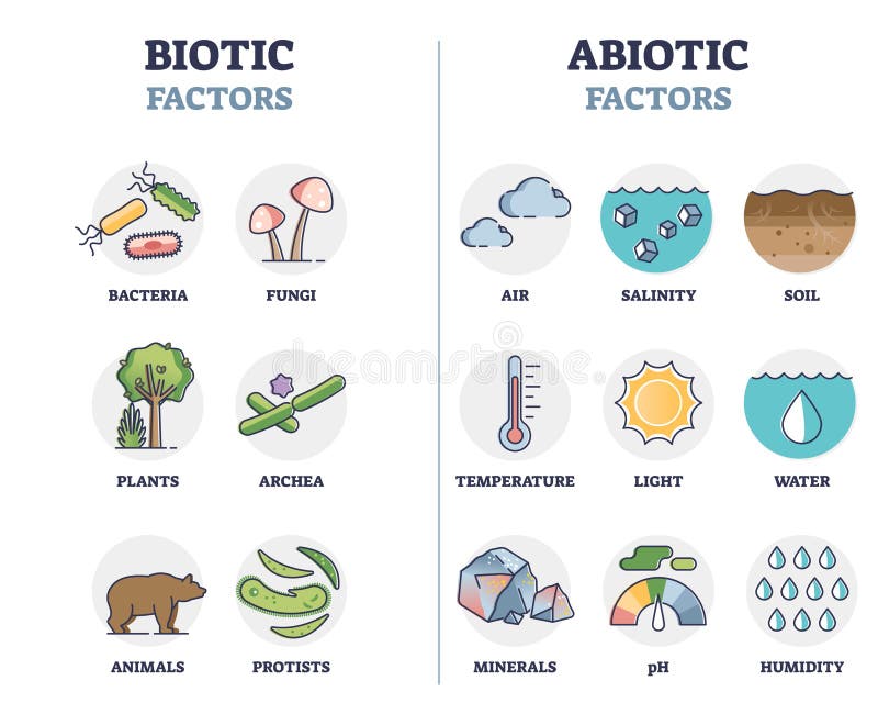 Factores bióticos y abióticos como elementos biológicos esquema de división diagrama