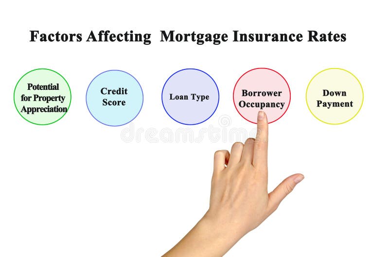 Vaeenma Photographer profile