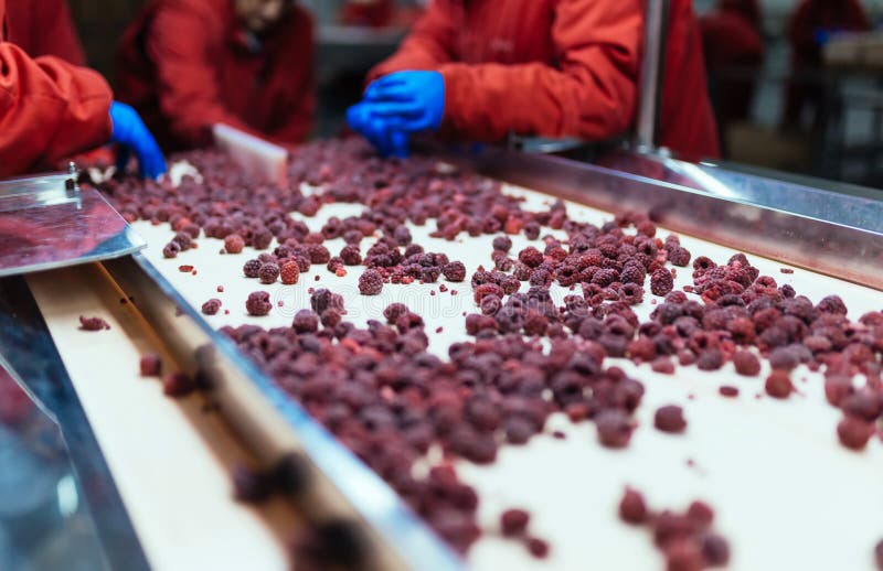 Frozen Food Factory Interiors Stock Image Image of frosted, factory