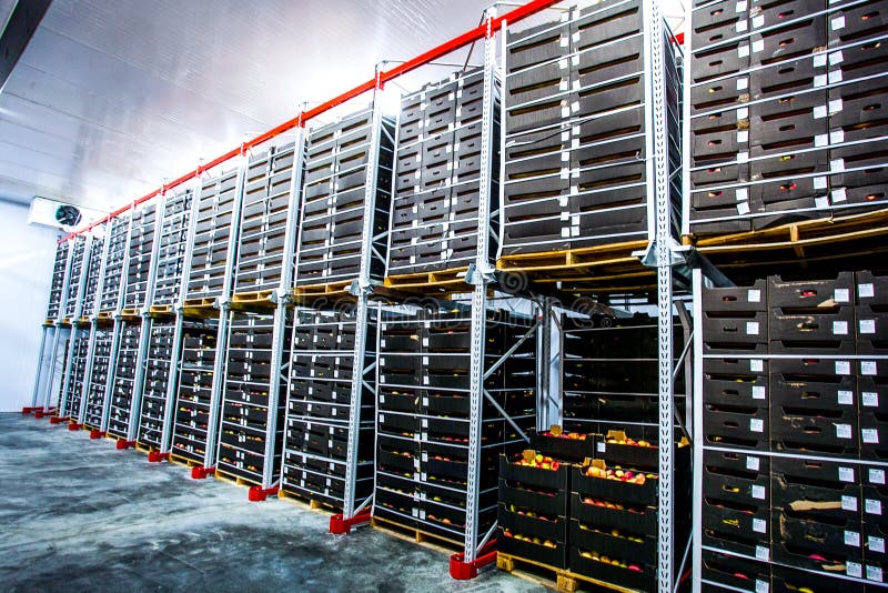 Factory Warehouse Stock Boxes with Fruits and Vegetables Stock Image Image of industrial
