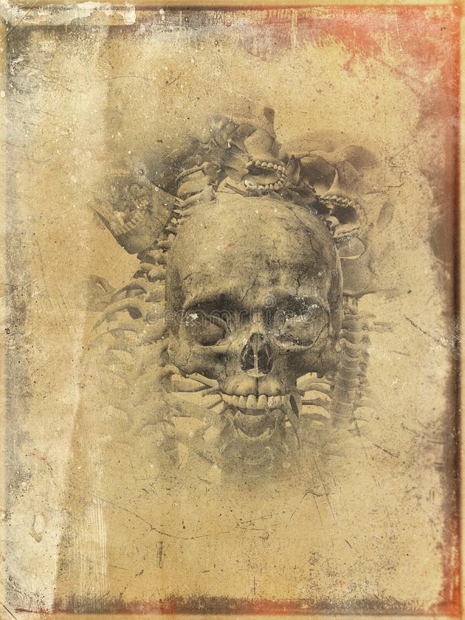 Faded worn skull stock image. Image of brownish, grunge - 23603393
