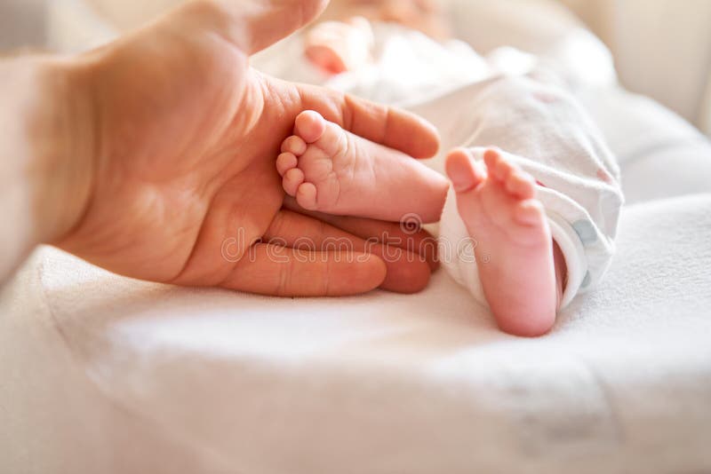 Fadern som håller i händerna fötter till det nyfödda barnet Barn fötter i föräldrarnas hand Foderhudvårdsslutning Glad familj royaltyfria bilder