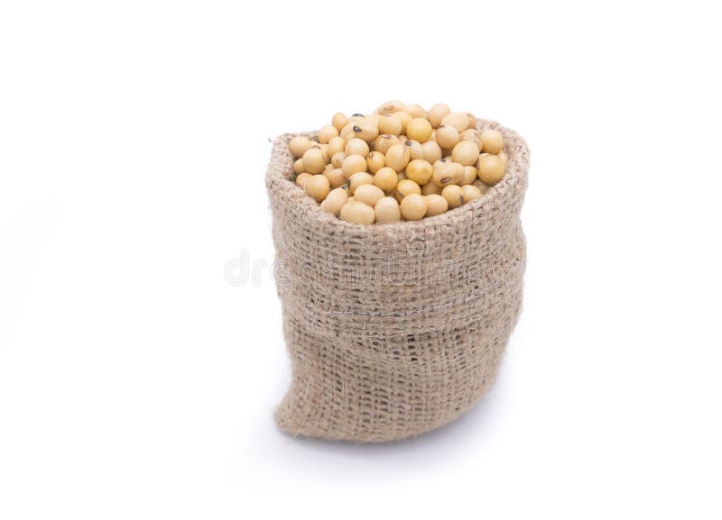 Fagioli della soia nella borsa dell'iuta immagini stock libere da diritti Fagioli della soia nella borsa dell'iuta immagini stock libere da diritti