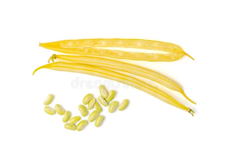 Fagioli Gialli Francesi Fagioli Di Stringa, Pile Di Fagioli Di Cera Freschi immagine stock