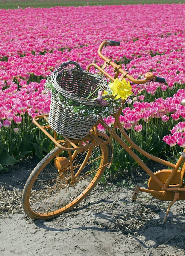 Bild Fahrrad Mit Blumenkorb Bild Fahrrad Mit Blumenkorb
