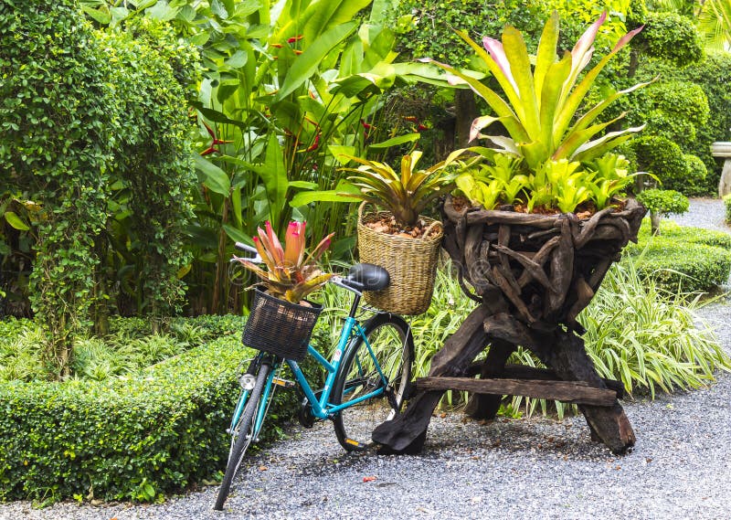 Fahrrad Verziert Mit Anlagen Stockbild Bild von anlagen