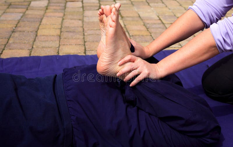 Fahrwerkbeinausdehnung lizenzfreies stockbild Fahrwerkbeinausdehnung lizenzfreies stockbild