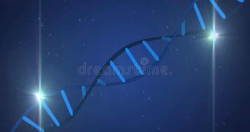 Faint curved line appearing triggers double helix forming and spinning while showing DNA structure stock video