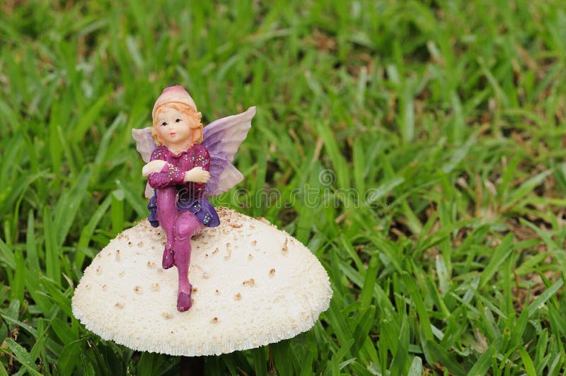 A fairy figurine on a mushroom in the garden