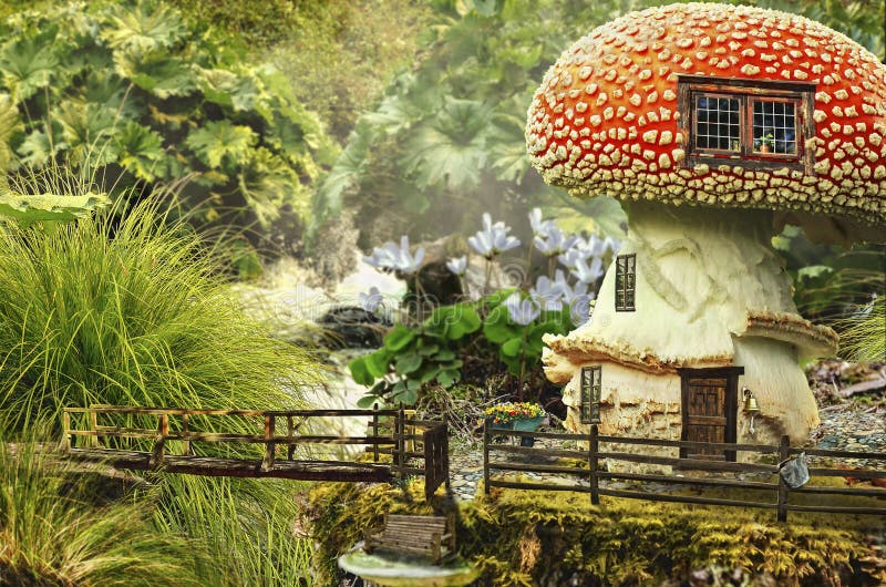 Fairy house (mushroom)