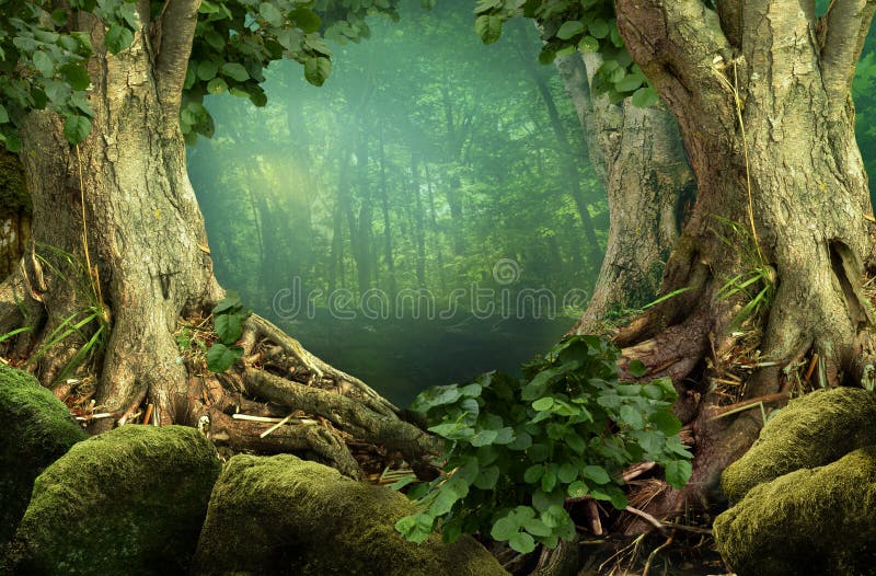 Fantasy forest landscape with old trees and roots