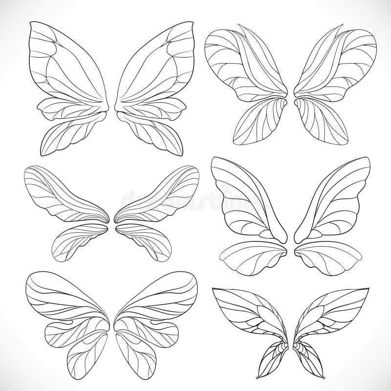 Fairy wings outlines set isolated on a white.