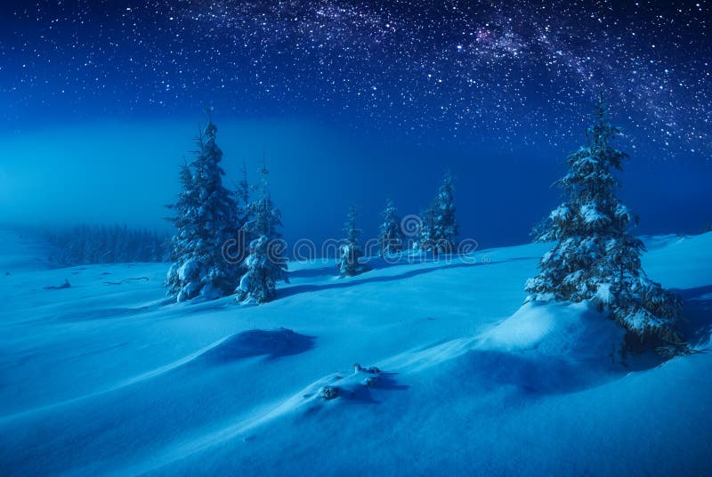 Download Fairy Winter Valley Covered With Snow In A Moon Light Stock Image - Image of spruce, bright: 105235697