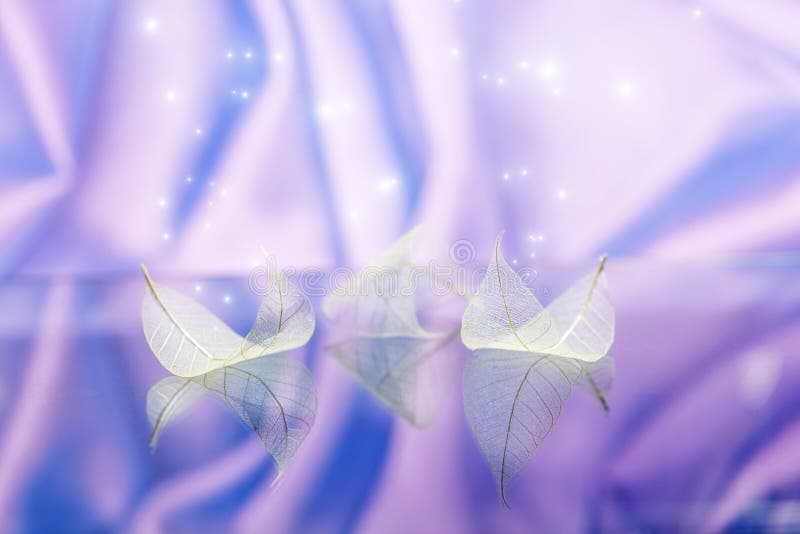 Fairytale wallpaper with transparent white leaves