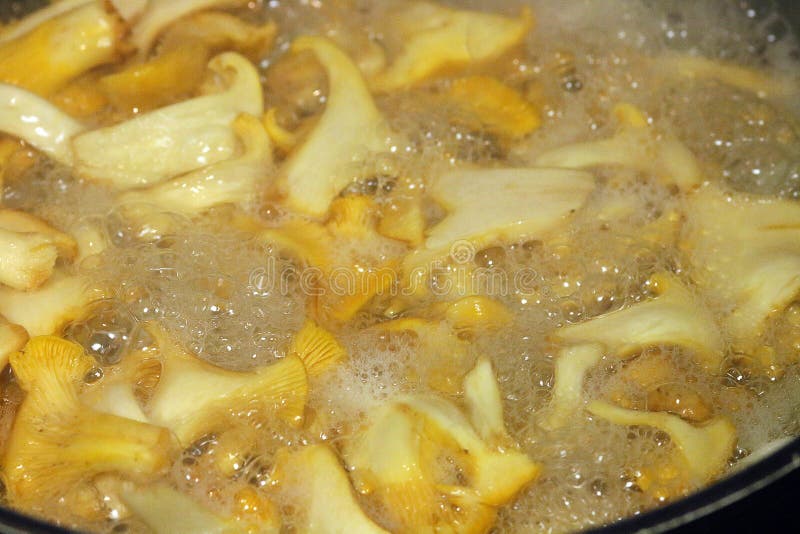 Faisant cuire les tranches de chanterelles répandent, un regard étroit, les bulles d'huile d'olive et l'eau au-dessus des tranche images stock Faisant cuire les tranches de chanterelles répandent, un regard étroit, les bulles d'huile d'olive et l'eau au-dessus des tranche images stock