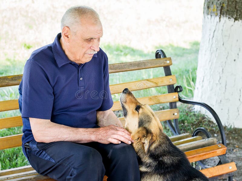 Faithful dog with confidence looks in eyes of his master. Friend. Ly relationship with animals stock photo