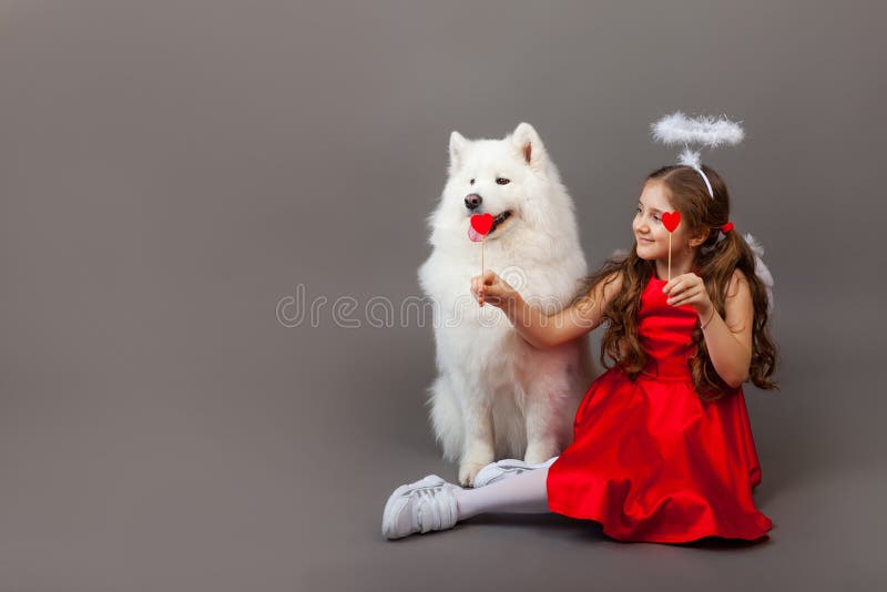 2 Halo Dog Photos Free Royalty Free Stock Photos From Dreamstime
