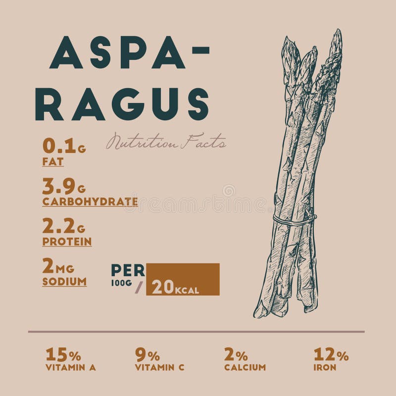 Faits de nutrition d'asperge crue illustration stock Faits de nutrition d'asperge crue illustration stock