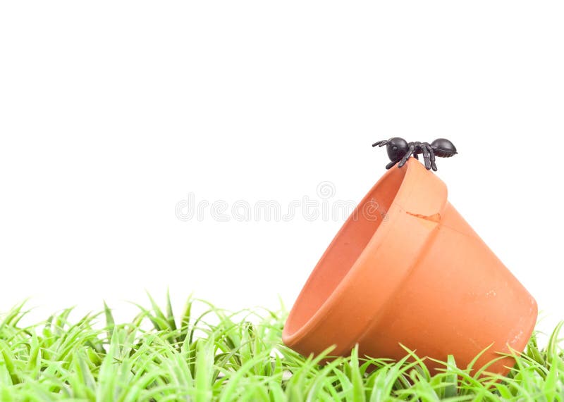 Fake Ant on Pot in the Grass