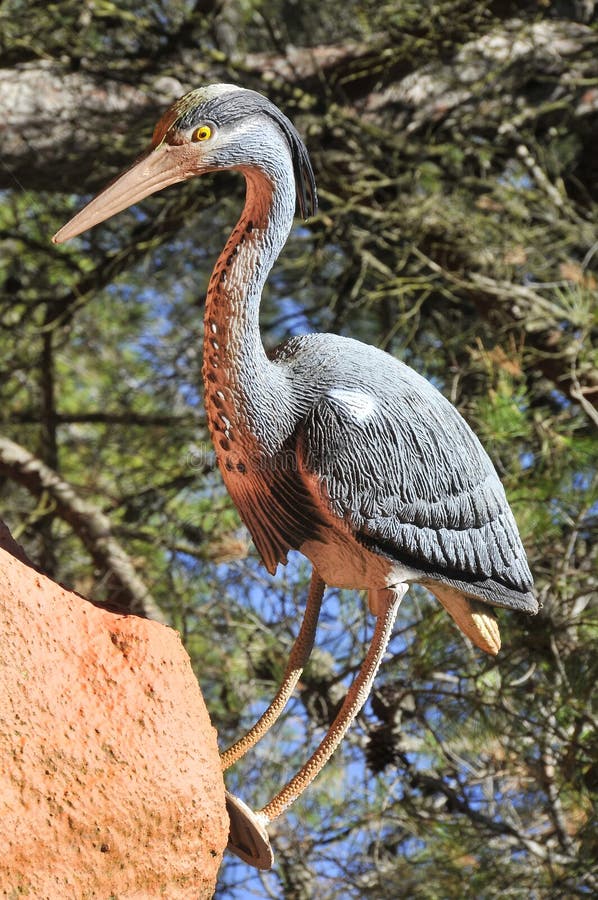 Fake bird stock image. Image of light, visit, feather 34415169
