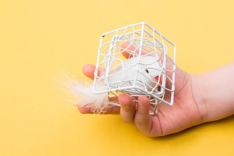Fake Bird Toy in Cage. Home Interior Decoration Stock Photo Image of