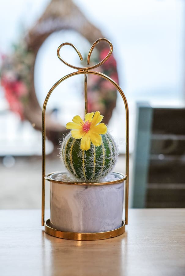 Fake cactus stock image. Image of shape, western, spring 27205011