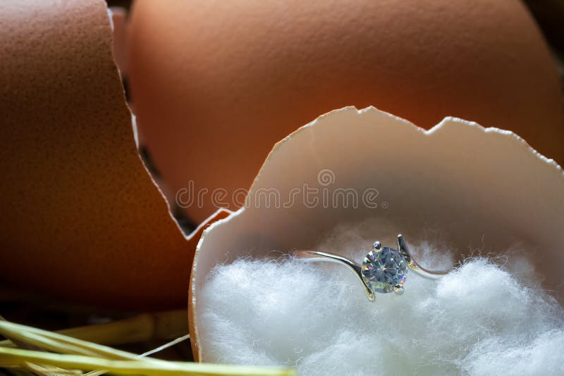 Diamond ring in the egg shell broken on the ovary. royalty free stock photos Diamond ring in the egg shell broken on the ovary. royalty free stock photos