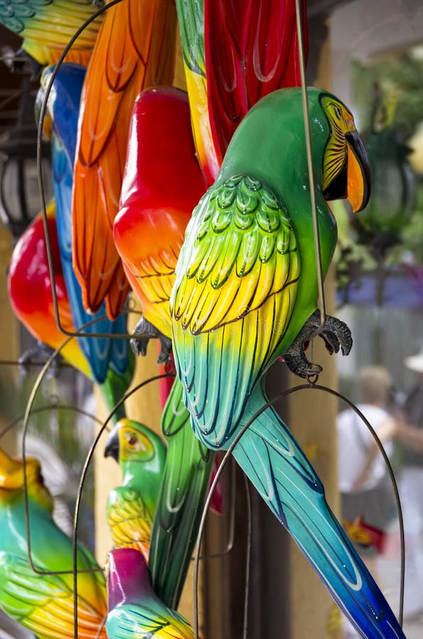 Fake Parakeets Stock Photos Free & RoyaltyFree Stock Photos from