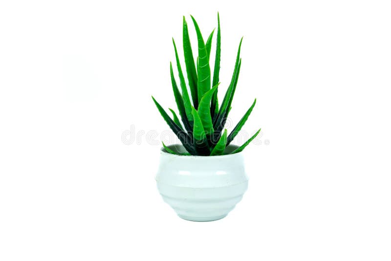 Fake Plant in a Pot Isolated on a White Background. Interior Decoration