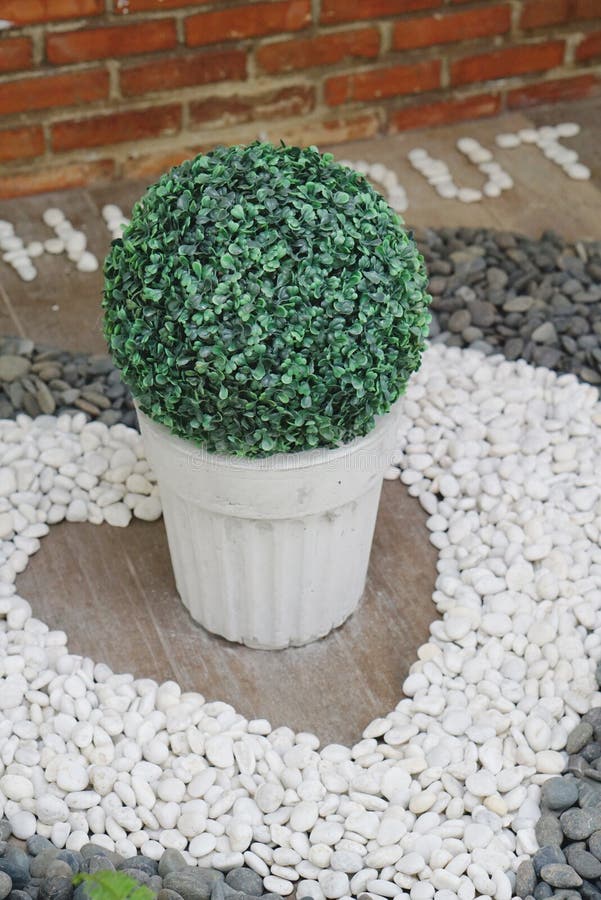 Fake plants in white pot stock photo. Image of house 50321578