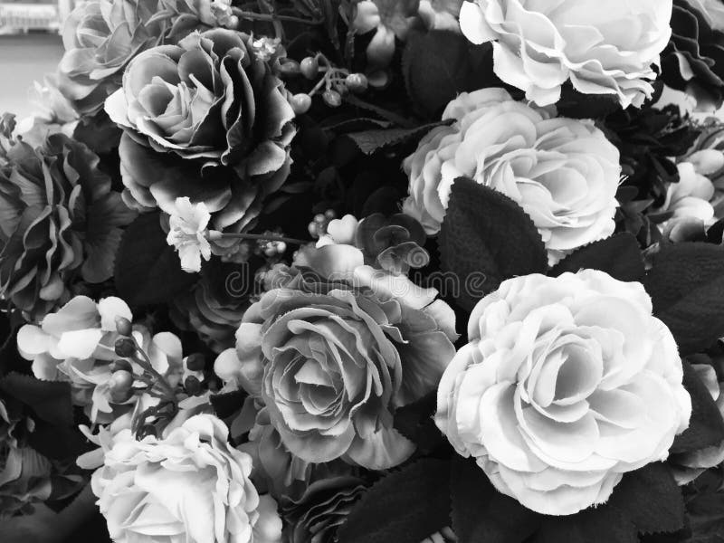 Fake Rose Flower Black and White Color for Background Stock Image