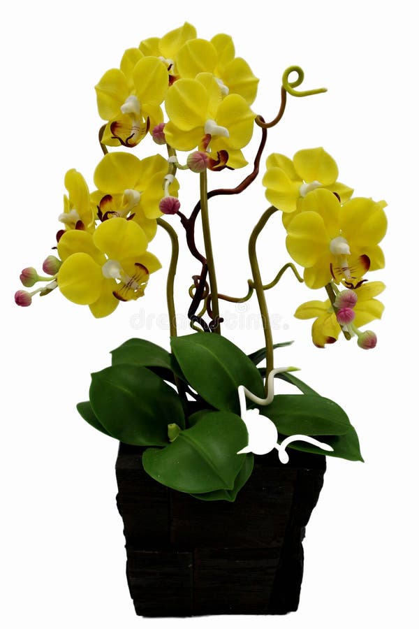 Fake tree stock image. Image of branch, flores, leaf 62715625