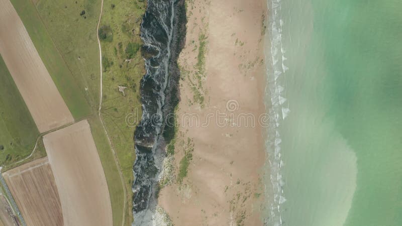Cap blancnez falaise du haut du ciel en bas des oiseaux vue mer turquoise et prairie verte banque de vidéos