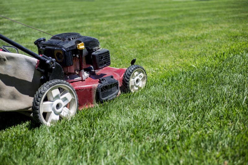 Falciando il prato inglese all'aperto immagine stock libera da diritti