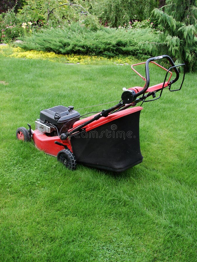 Tosaerba fotografia stock