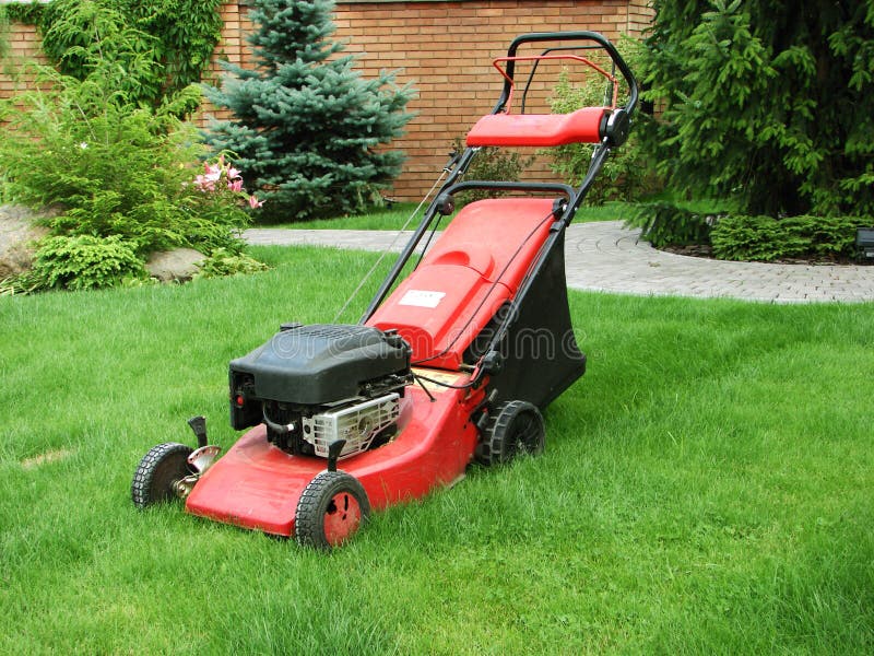 Tosaerba fotografia stock