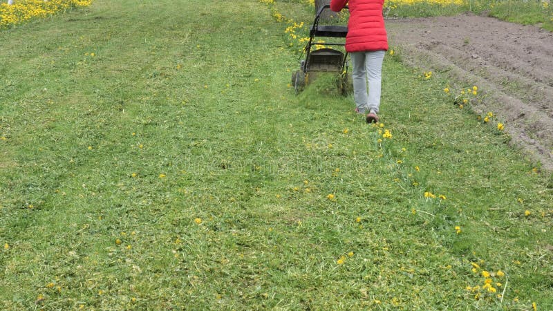 Falciatrice falciata un prato con tartarughe gialle 2022