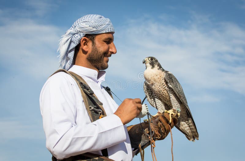 Falcoaria Dos Xeiques árabes No Deserto Ilustração do Vetor