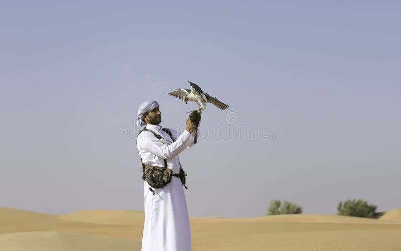 Falcoaria Dos Xeiques árabes No Deserto Ilustração do Vetor