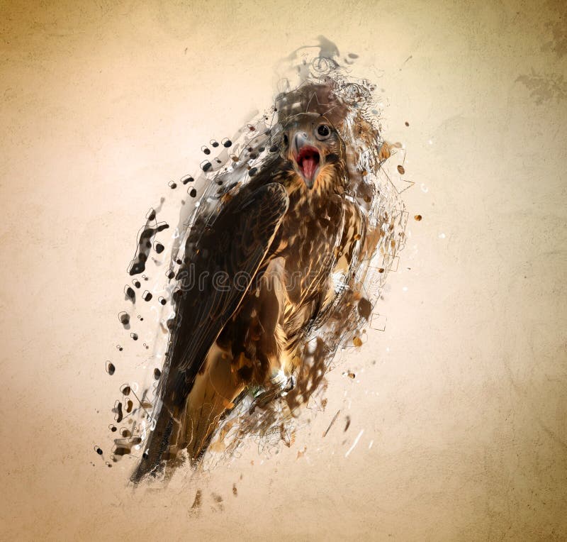 Falcon, abstract animal concept royalty free stock photos