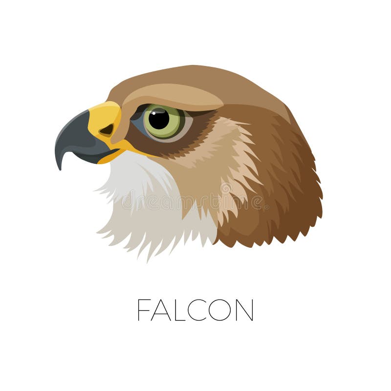 Falcon gorgeous profile with sharp beak and green eyes
