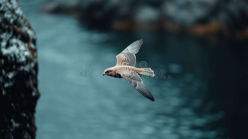 Falcon soaring over a serene ocean vector illustration