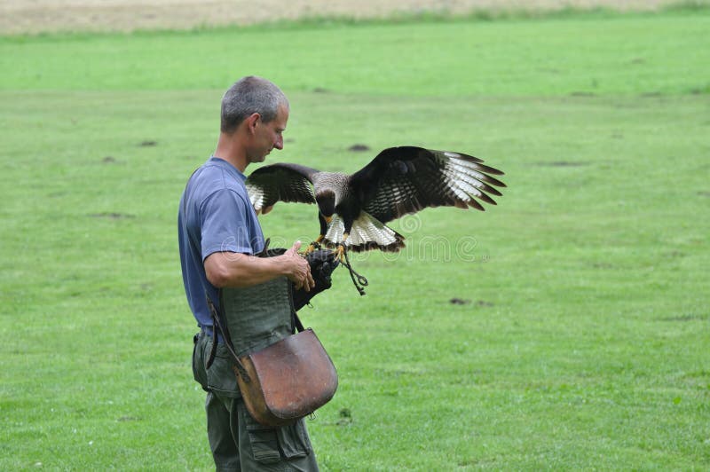 Falconer and eagle editorial photo. Image of hunting 14939161