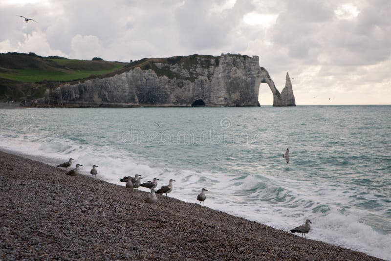 Falezy z seagulls Etretat i plaża, Normandy na francuza wybrzeżu fotografia stock Falezy z seagulls Etretat i plaża, Normandy na francuza wybrzeżu fotografia stock