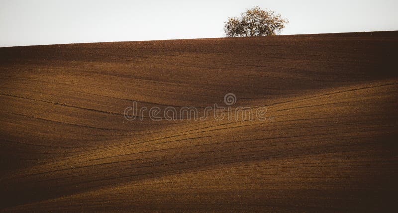 Faliści jesieni pola w Morawskim Tuscany, republika czech zdjęcia royalty free Faliści jesieni pola w Morawskim Tuscany, republika czech zdjęcia royalty free