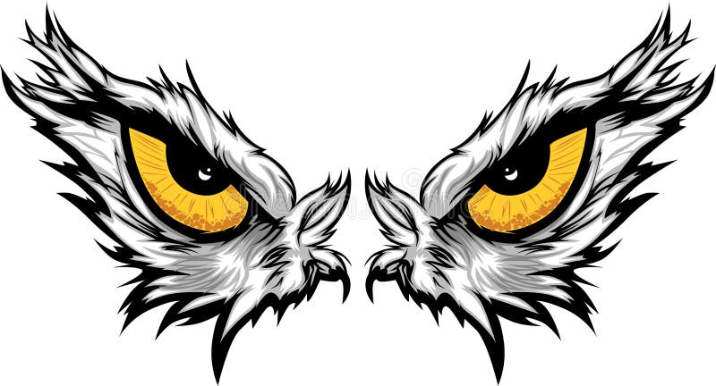 Falkblickillustration vektor illustrationer